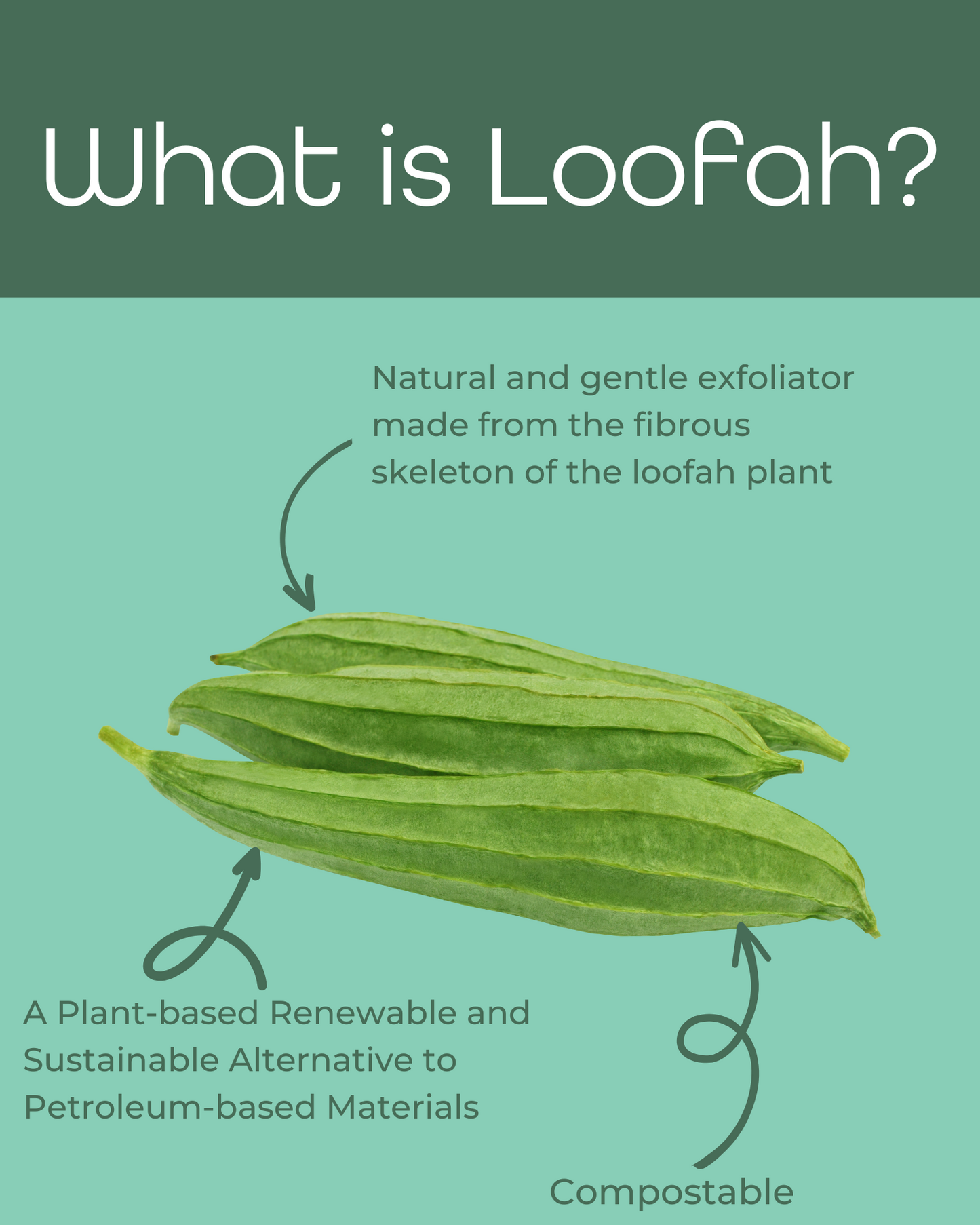 Loofah Soap Saver